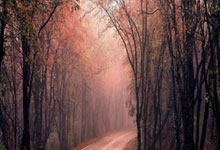 西班牙选手闪耀全场引人瞩目